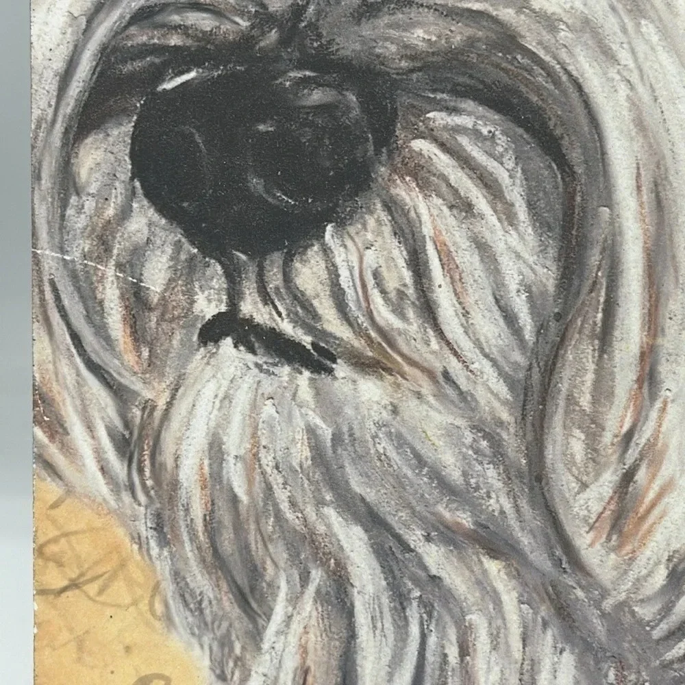Susan B Miniature Schnauzer 4x6 photo frame